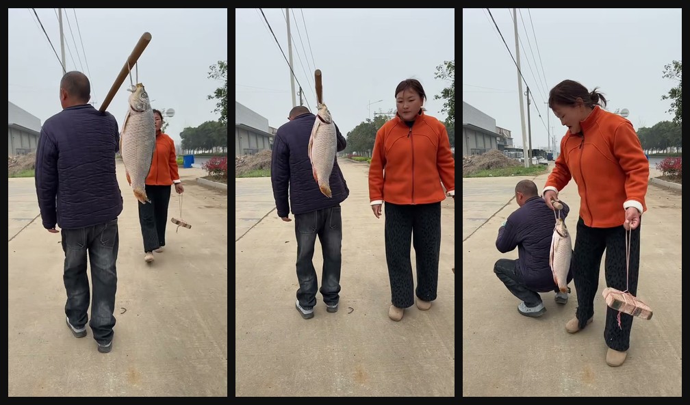 Small greed leads to losing the bigger fish opening hook frames