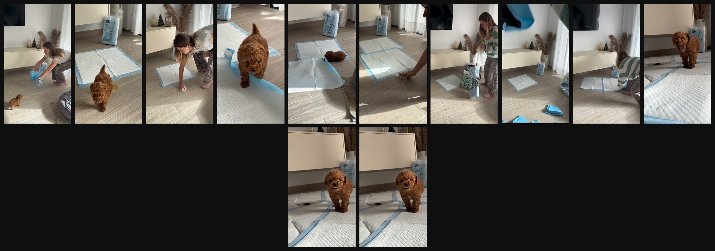 contact sheet